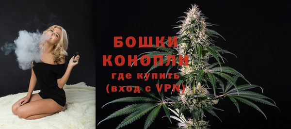 молекула духа Балахна
