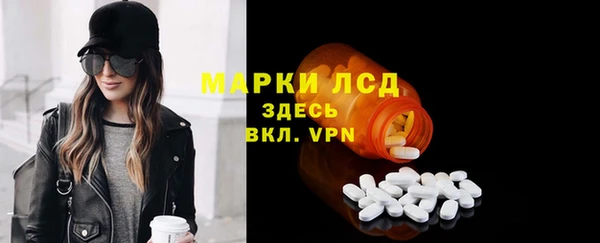 прущие грибы Арсеньев